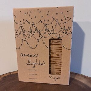 Anthropologie Copper Wire LED String Lights